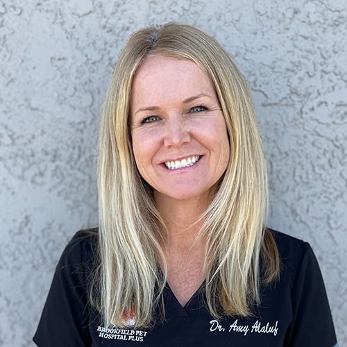 Fountain Valley Veterinarian