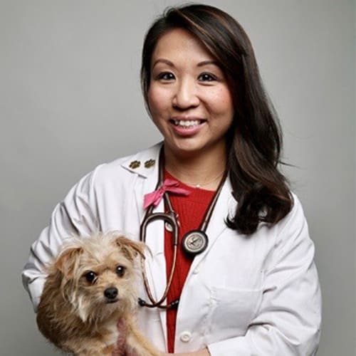 Dr. Pearl Fiona Chen, Fountain Valley Veterinarian